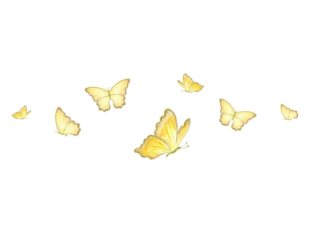 Acuarela mariposas voladoras delicadas de color amarillo claro aisladas ilustraciones dibujadas a mano de primavera