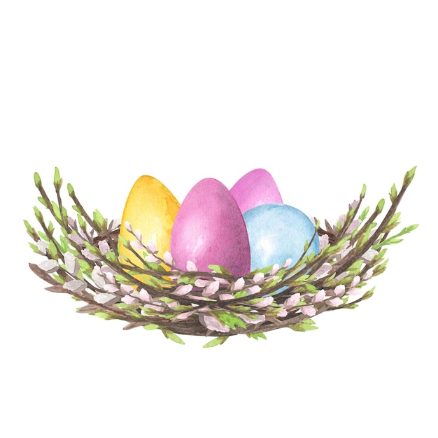 Acuarela de nido de primavera de sauce con huevos de colores aislados en blanco Diseño de ilustración de Pascua de dibujo a mano