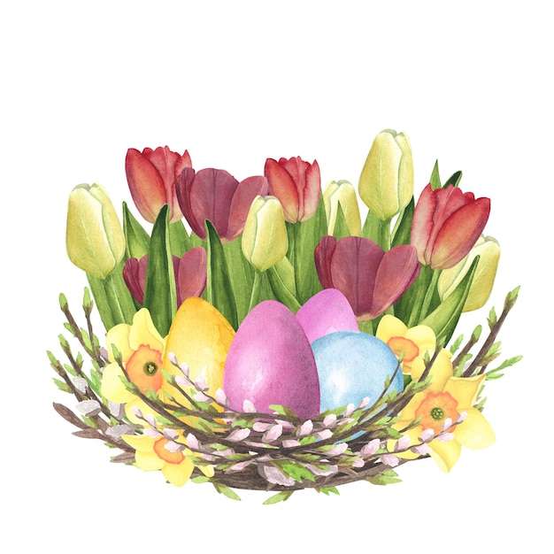 Acuarela de nido de sauce con huevos de color narciso de tulipanes aislados en blanco Diseño de ilustración de Pascua de dibujo a mano