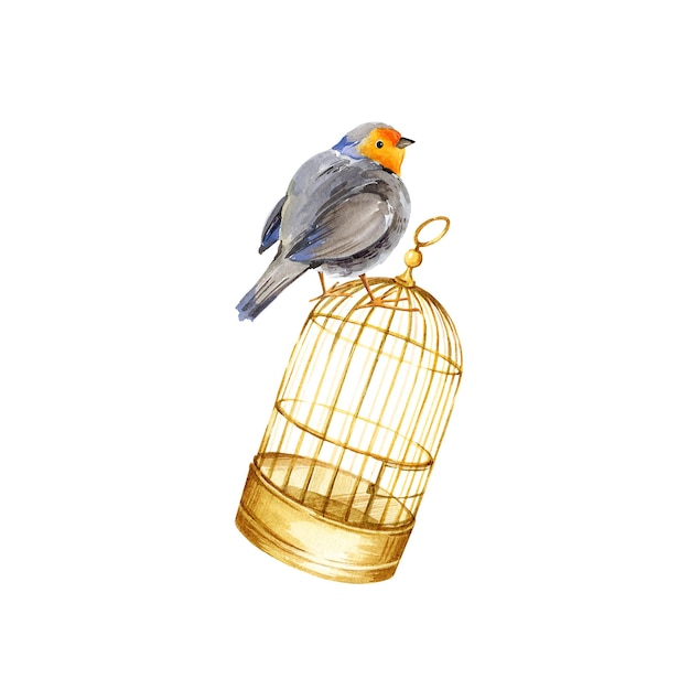 acuarela de oro jaula de pájaros vintage y lindo pájaro de pecho rojo europeo ilustración dibujada a mano de la jaula de aves de oro de metal antiguo y pájaro cantor aislado sobre fondo blanco