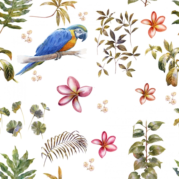 Acuarela con pájaros y flores, patrón transparente sobre fondo blanco.