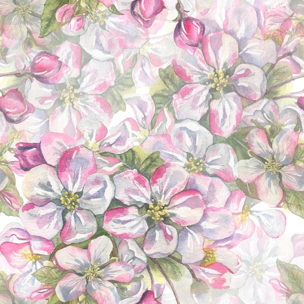 Acuarela de patrones sin fisuras de flores de color rosa manzana sobre un fondo blanco Ilustración linda suave de primavera para la decoración y el diseño de la cubierta de papel de envoltura de papel tapiz de textiles de tela