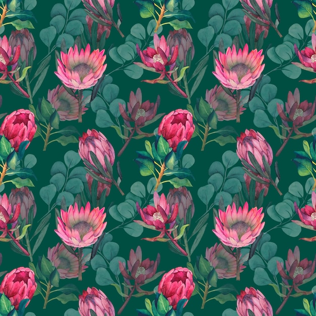 Acuarela de patrones sin fisuras con fondo floral de protea magenta flores florecientes y hojas de protea