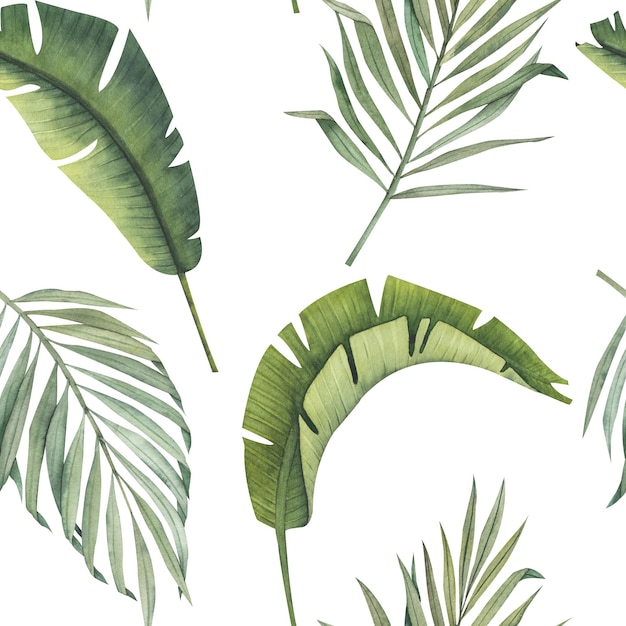 Acuarela de patrones sin fisuras con hojas de palma y plátano aisladas sin fondo Imágenes prediseñadas dibujadas a mano tropical Ilustración de acuarela para imprimir en postales cubiertas telas embalaje