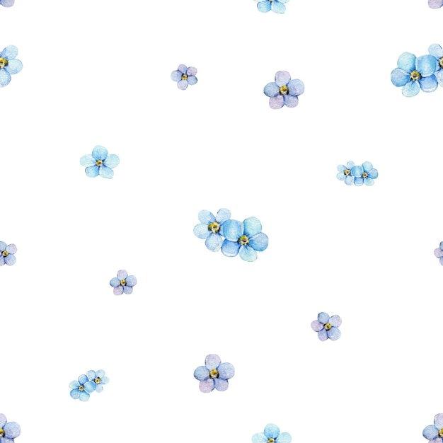 Acuarela de patrones sin fisuras de nomeolvides azules Ilustración pintada a mano con flores de verano aisladas sobre fondo blanco