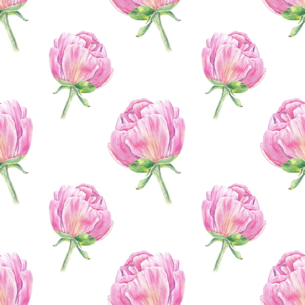 Acuarela de patrones sin fisuras peonía tulipán rosas dibujadas a mano en estilo botánico para bodas textiles