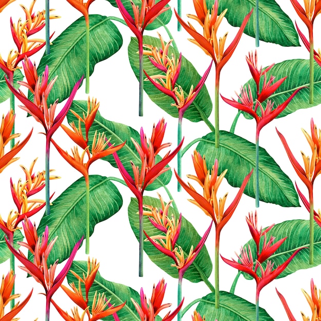 Acuarela pintura tropical colorido hojas de fondo transparente