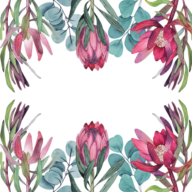 Acuarela Protea y eucalipto boda ilustración clipart