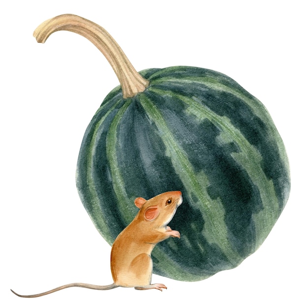 Acuarela retrato de ratón y calabaza sobre fondo blanco.