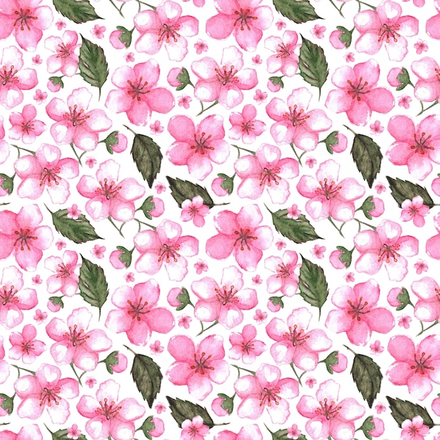 Acuarela rosa cereza sakura de patrones sin fisuras textura de fondo