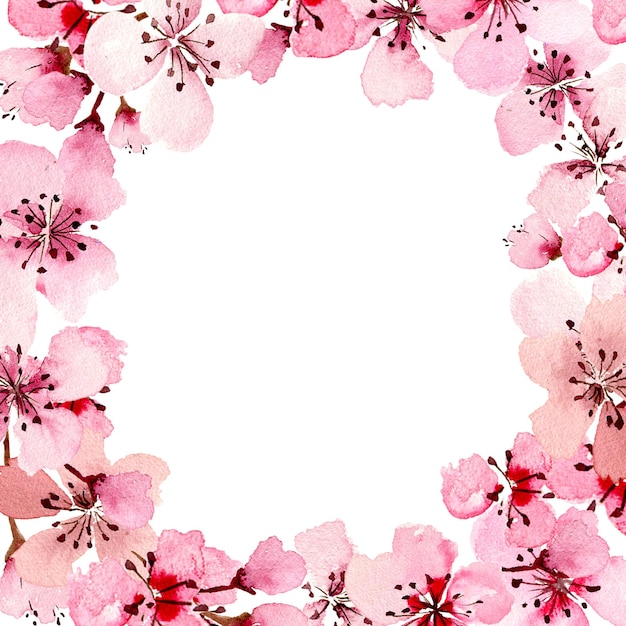 Acuarela sakura flores marco cuadrado Primavera flor de cerezo ilustración pintada a mano