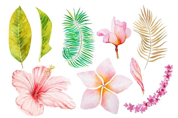 Acuarela tropical hojas y flores Ilustración botánica de la selva acuarela exótica en fondo blanco