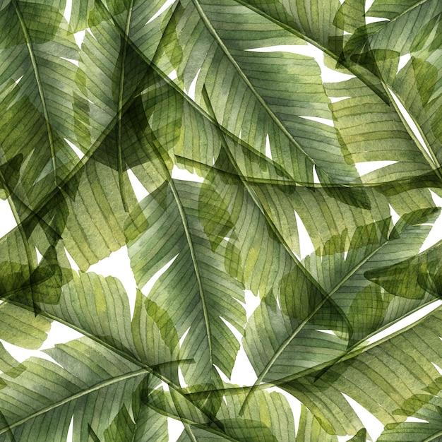 Acuarela Tropical Palm Leaves Seamless Pattern Ilustración dibujada a mano con plantas verdes de la selva para diseño textil o papel de regalo Textura para imprimir sobre fondo aislado Dibujo botánico