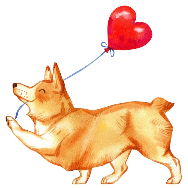 Acuarela con Valentine Corgi Happy Valentine's Day Stock ilustración con lindo perro y globo