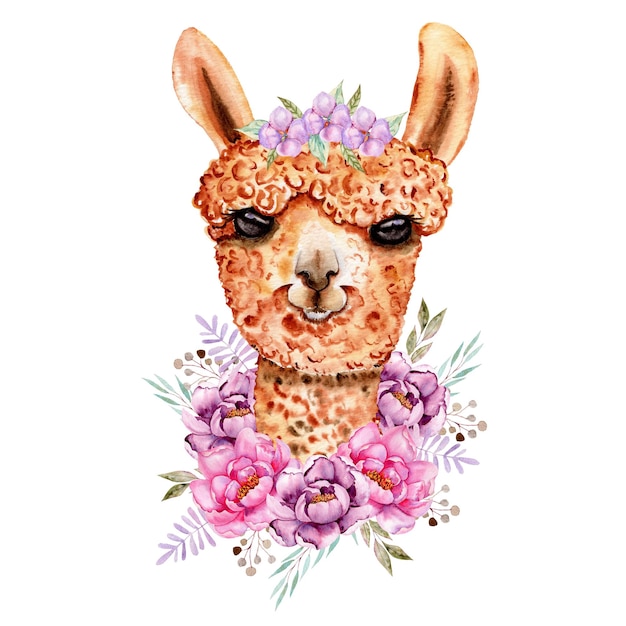 Acuarela Verano Ilustración Arte dibujado a mano