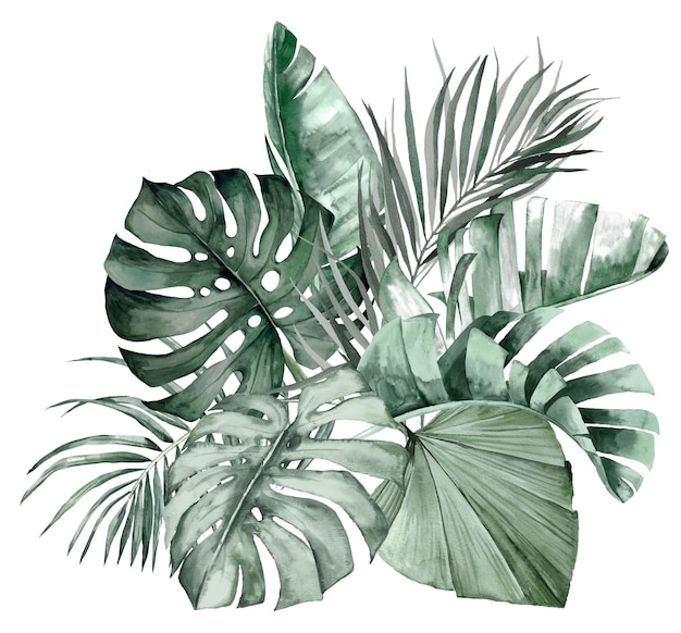 Acuarela verde azulado hojas tropicales ramo elemento aislado verano tropical boda ilustración