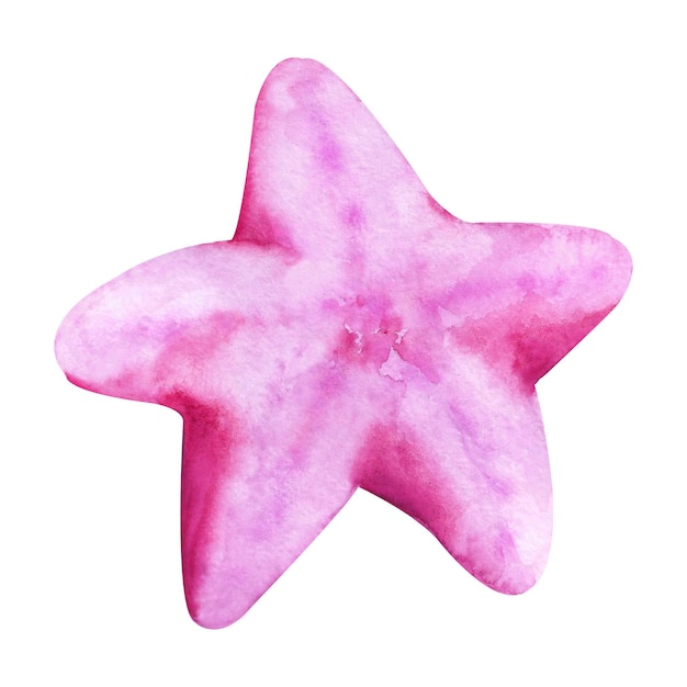 Acuarelas habitantes del océano. Estrella de mar rosa sobre un fondo blanco.