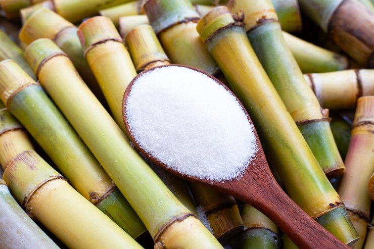 Foto açúcar com cana de açúcar no fundo branco