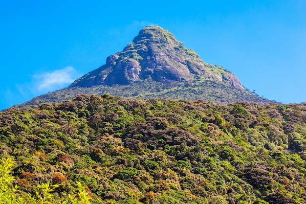 Adams Peak ou Sri Pada é uma montanha alta no Sri Lanka. O Pico Adams é bem conhecido pelo Templo Sri Paadaya com pegada do Buda sagrado na tradição budista.