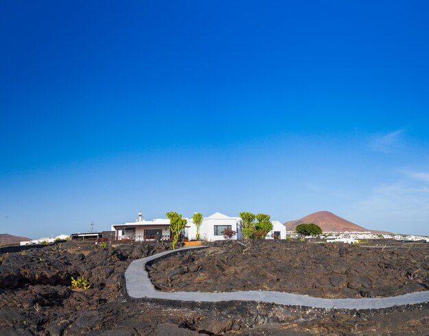 Adega de viticultura Lanzarote