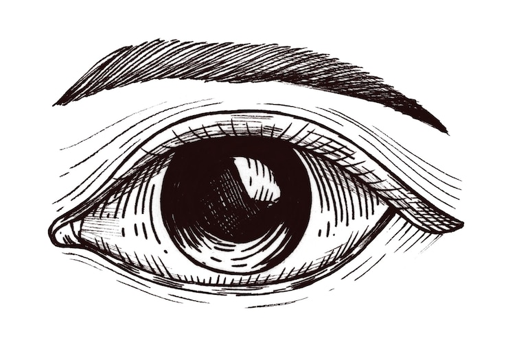 Foto adesivo de olho humano desenhado à mão com um elemento de desenho de borda branca