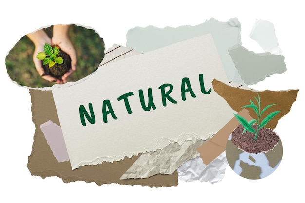 adesivo de palavra png natural tipografia ambiente estética colagem de papel fundo transparente