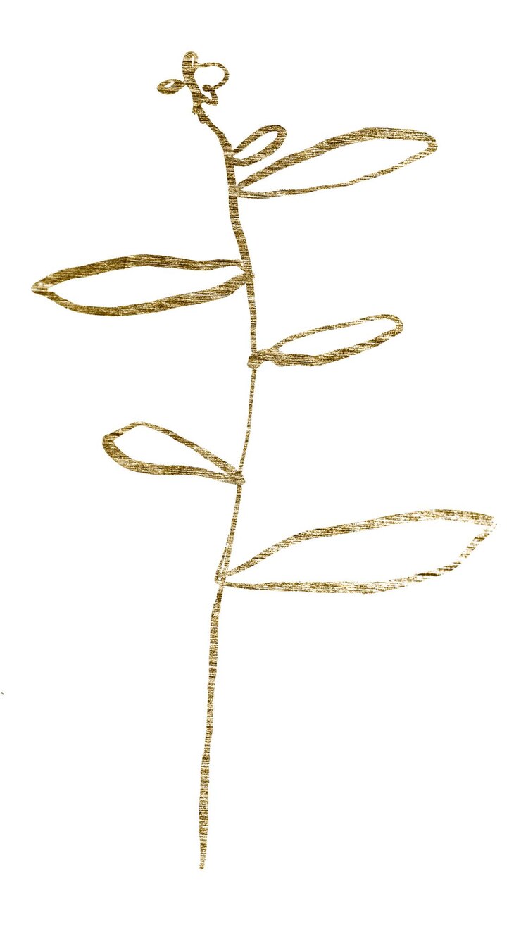 Foto adesivo png de folha de ouro desenho brilhante fundo transparente