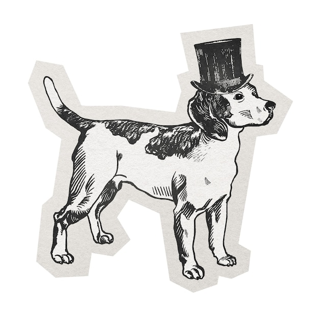 Adhesiva para perros Beagle de Papua Nueva Guinea con borde blanco y fondo transparente
