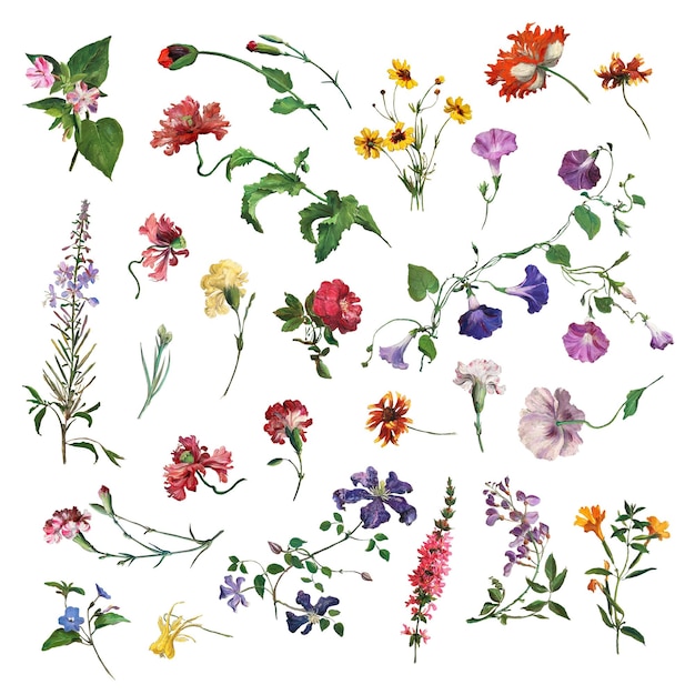 Adhesivo dibujado a mano de flores png remezclado a partir de obras de arte de JacquesLaurent Agasse