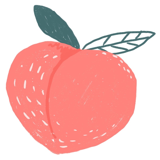 Adhesivo de dibujo de frutas de melocotón PNG