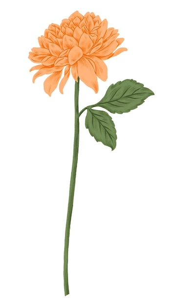 Adhesivo de flor de crisantemo naranja png fondo transparente
