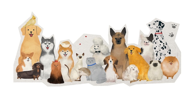Adhesivo para mascotas con borde blanco y fondo transparente