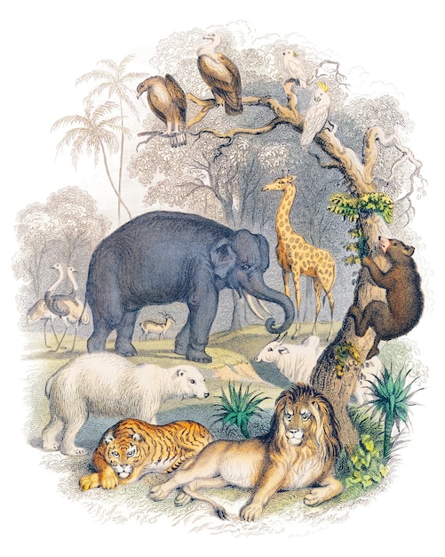 Adhesivo de naturaleza animada de Png Goldsmiths Ilustración vintage de fondo transparente