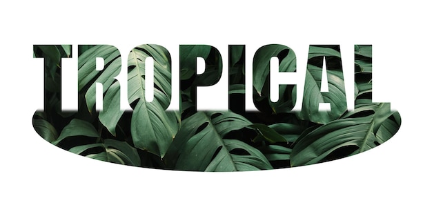 Adhesivo de palabras png tropical tipografía de borde blanco fondo transparente