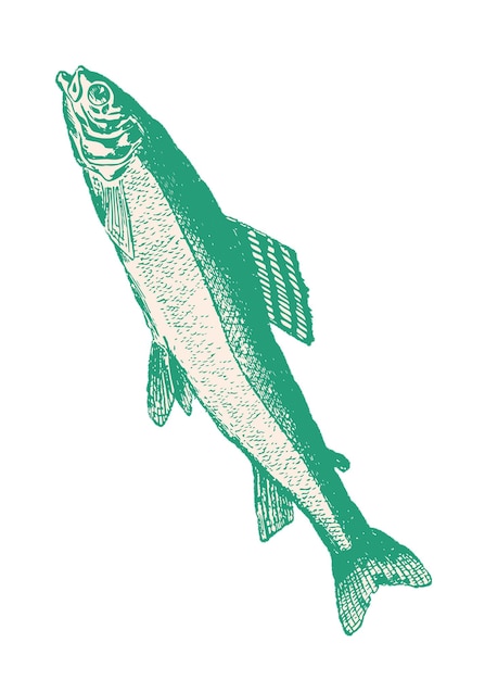 Adhesivo de pescado vintage con fondo transparente