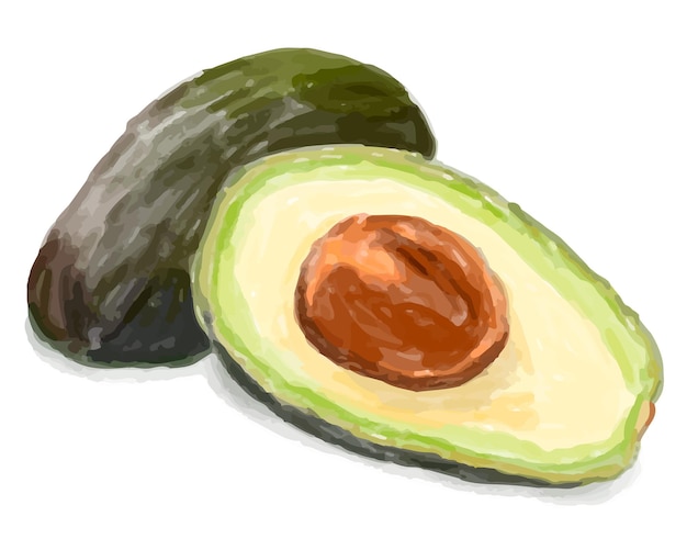 Adhesivo png de aguacate verde dibujado a mano
