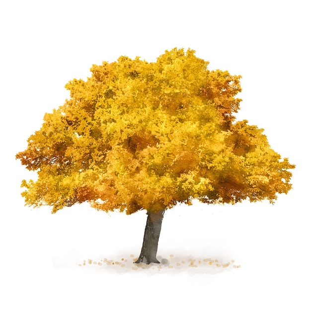 Adhesivo png de árbol de otoño ilustración en acuarela sobre un fondo transparente