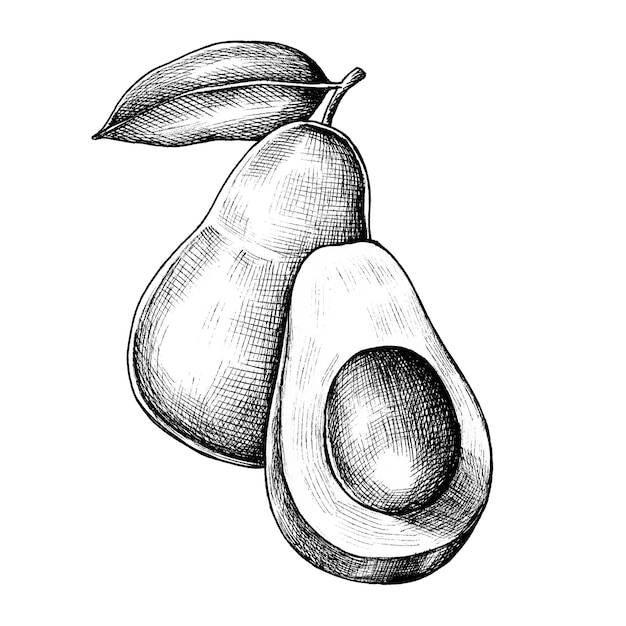 Adhesivo png de boceto de aguacate sobre un fondo transparente