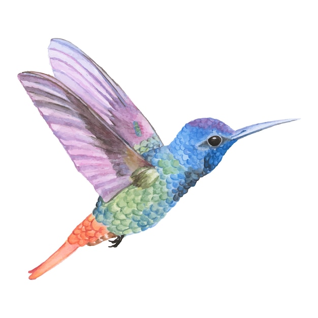 Adhesivo png de colibrí volador dibujado a mano