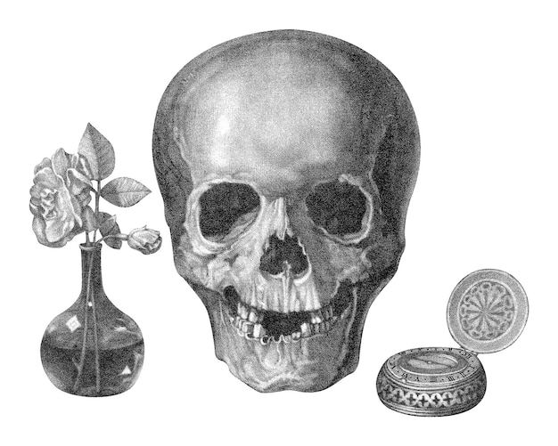 Adhesivo png de cráneo humano Ilustración vintage en fondo transparente Remastered por rawpixel