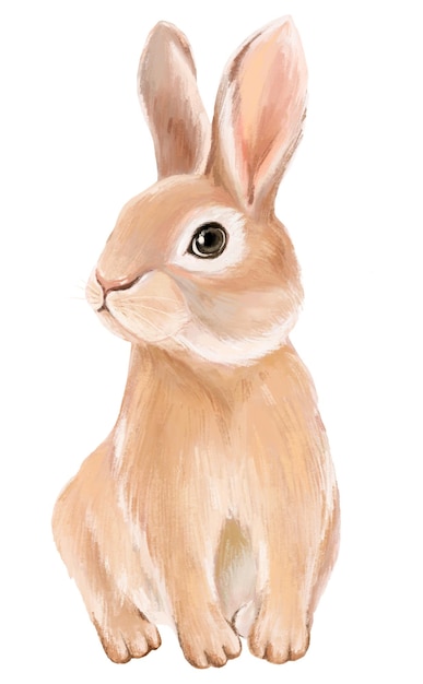 Adhesivo png de coelho ilustração de animal bonito fundo transparente