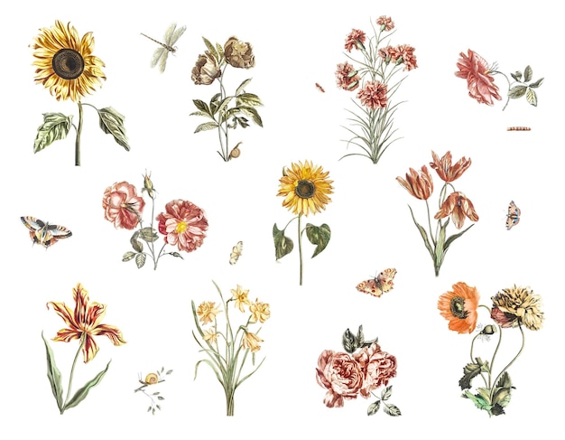 Adhesivo png de flores dibujado a mano conjunto de ilustraciones vintage