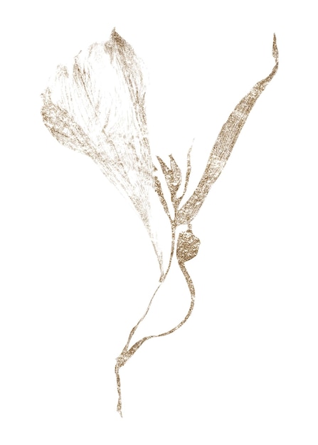 Adhesivo png de lirio de cera de fondo transparente