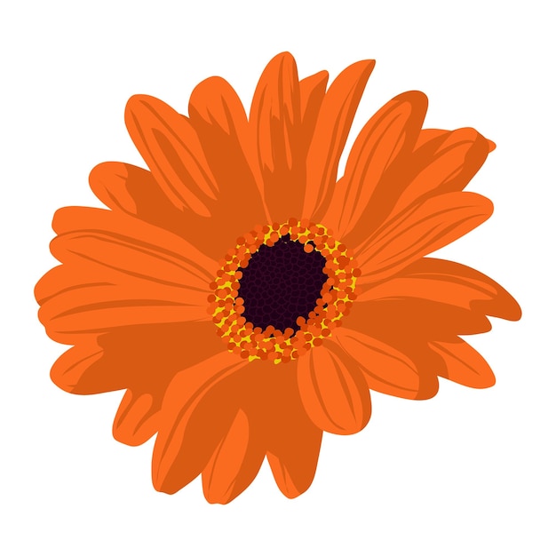 Adhesivo png de margarita naranja ilustración estética de flores sobre un fondo transparente