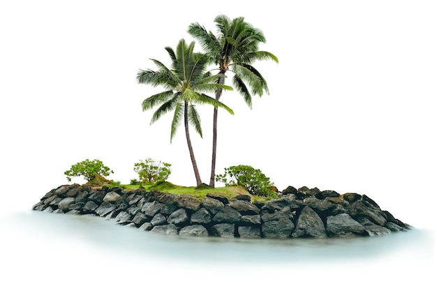 Adhesivo png de palmera en un fondo transparente