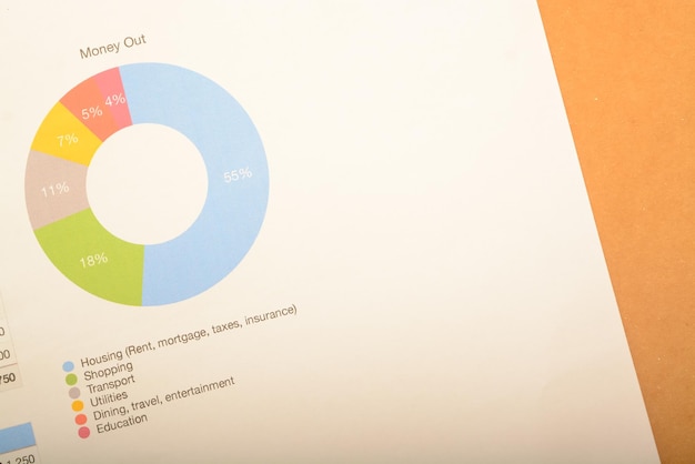 Administrar un presupuesto mensual requiere una consideración cuidadosa de la vivienda alimentos compras transporte servicios públicos viajes educación y gastos médicos