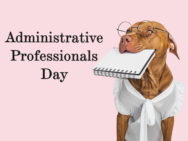 Administrative Professionals Day Schöne Karte mit einem niedlichen Welpen