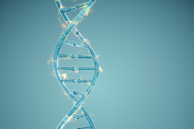 ADN y cromosomasgenes y herenciarepresentación 3d