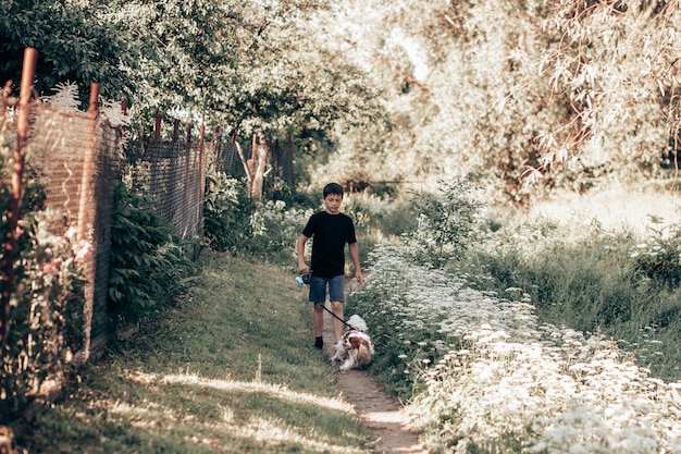 Adolescente de 11 años camina con perro con correa a lo largo de la acera a lo largo de matorrales verdes.