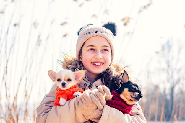 Adolescente abraça seus dois cachorrinhos chihuahua e um cão adulto. Cachorro chihuahua